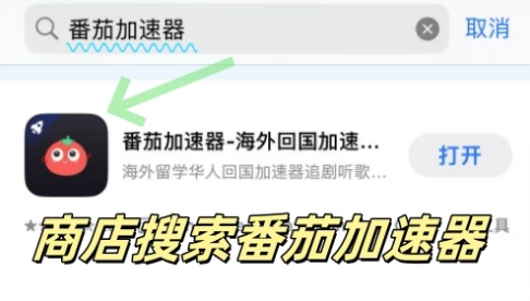 雷神手游和豌豆IP好用吗？教程